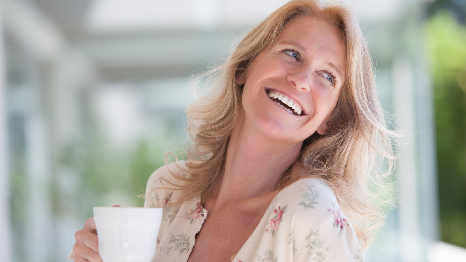 Parceiros, Estamos Juntos na Menopausa: Um Guia Divertido para Atravessarmos Juntos Essa Nova Fase!